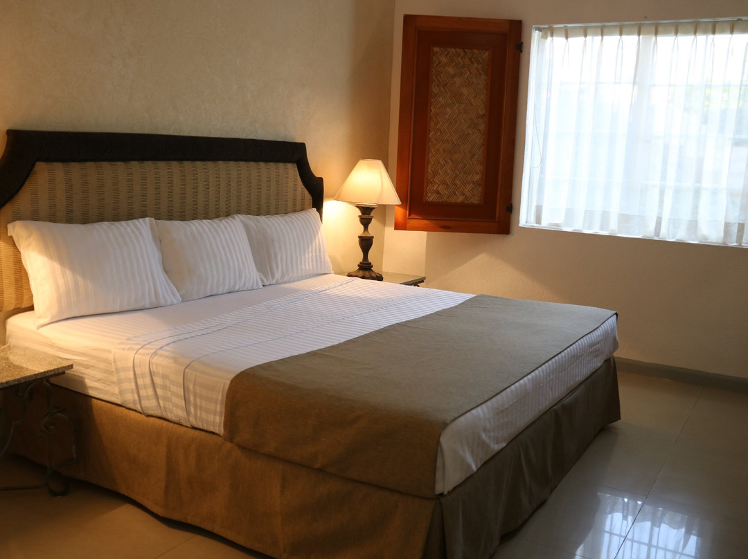 Hotel Zar Colima主图