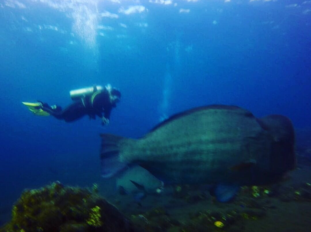 Bali Paradise Scuba-沙努尔必去景点