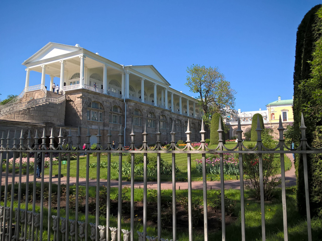 Tsarskoye Selo Palace Board景点图片