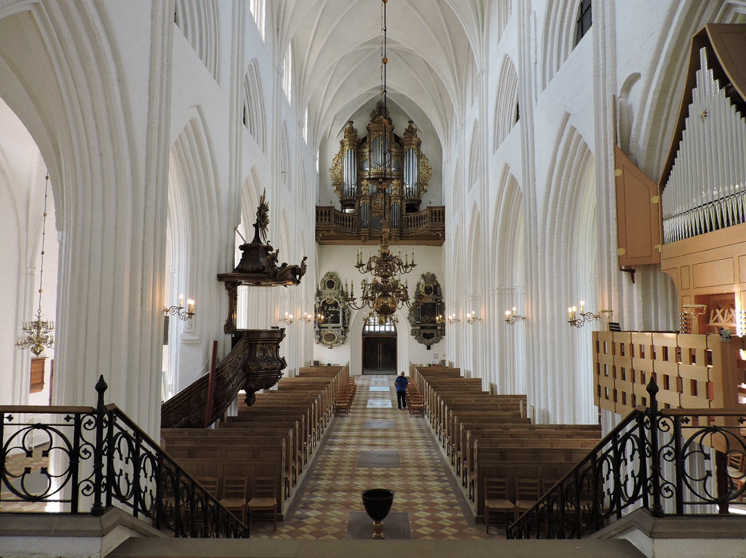 Odense Cathedral - Sct. Knuds Church景点图片