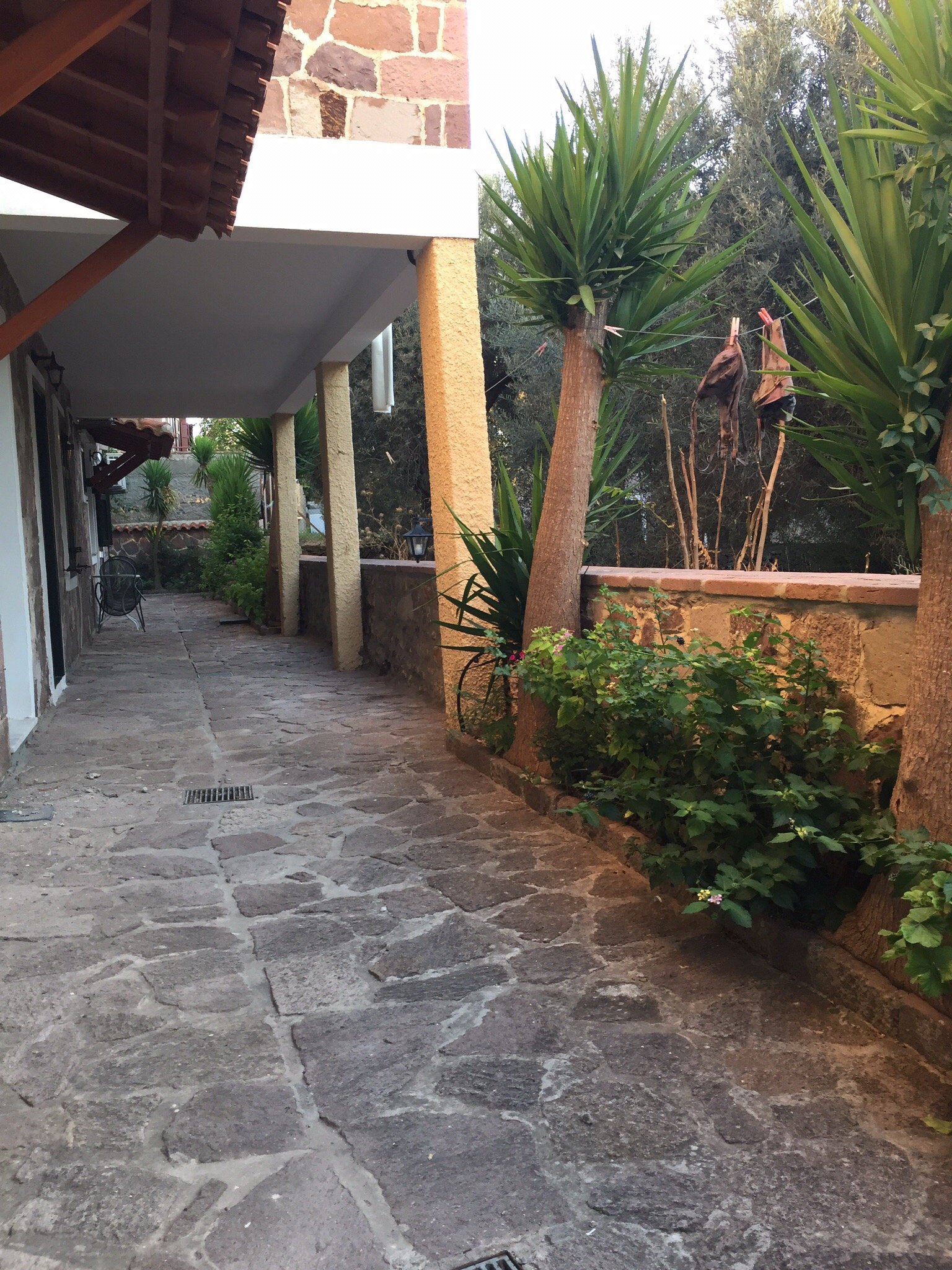 Hotel Adonis-官方