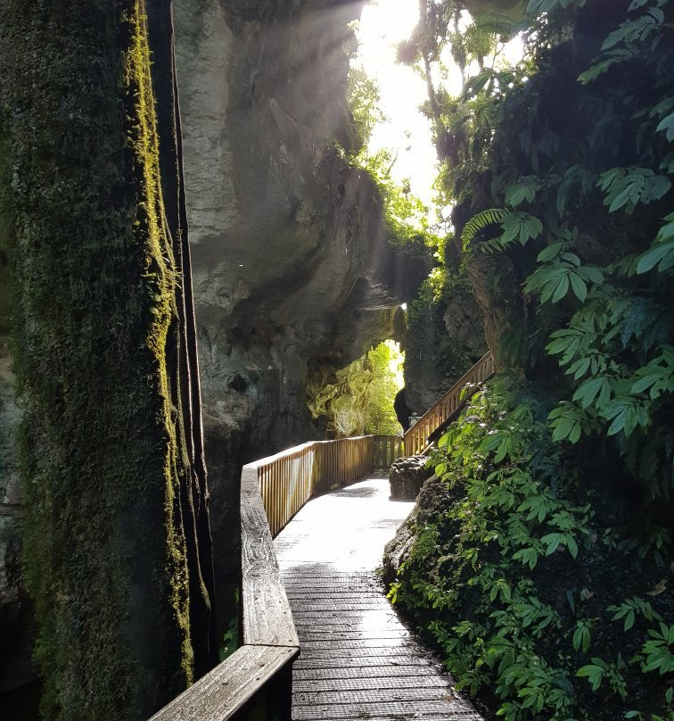 Waitomo Caves Tours & Transfers-怀托摩洞穴必去景点