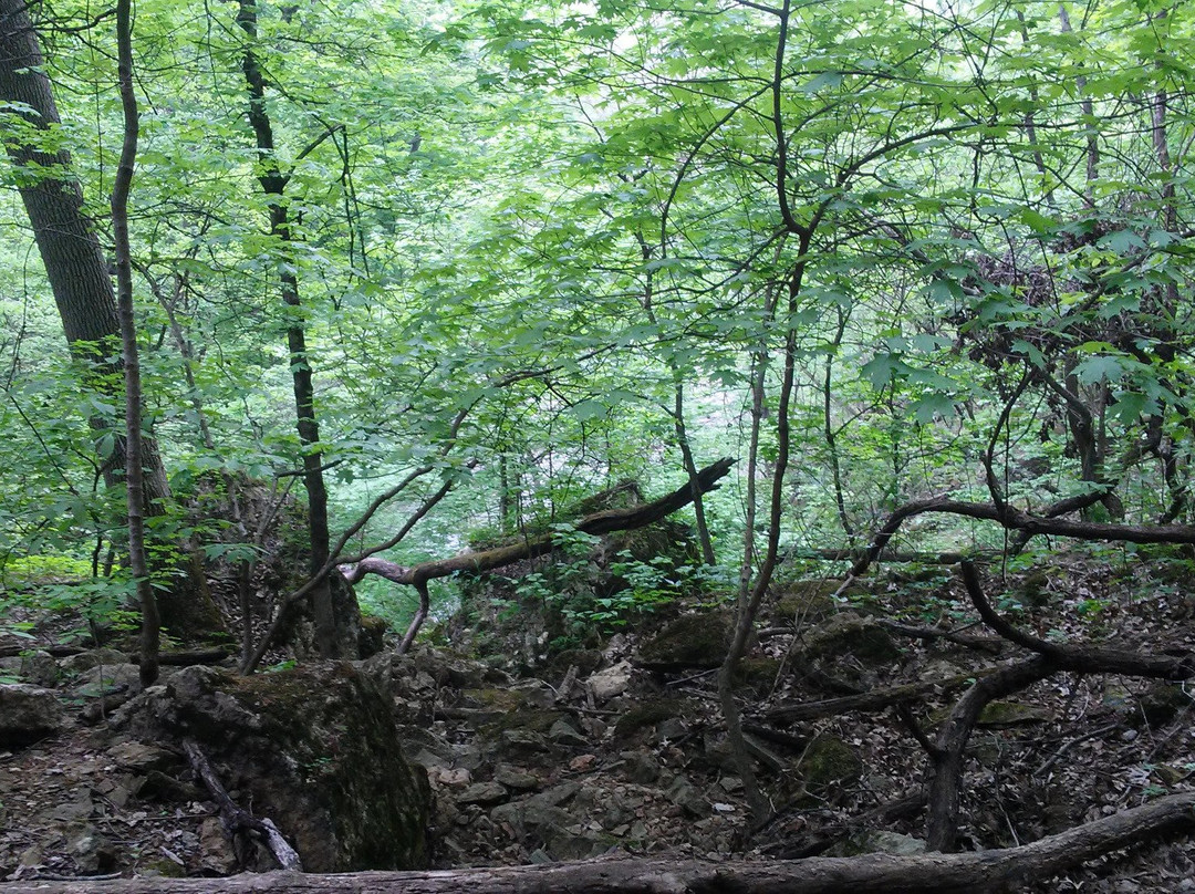 Redbud Valley-Catoosa必去景点