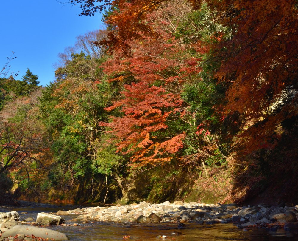 Sengokudai Auto Camp Site-君津市必去景点
