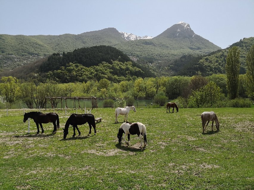 Horse's Wild Spirit景点图片