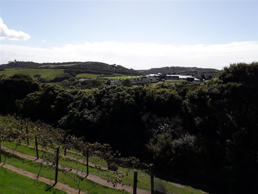 Cable Bay Views主图