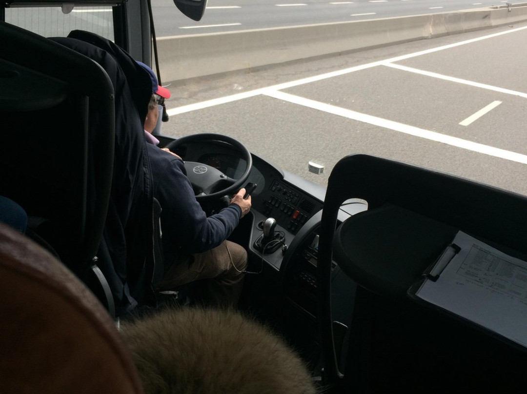 Ben's Bus-日内瓦必去景点