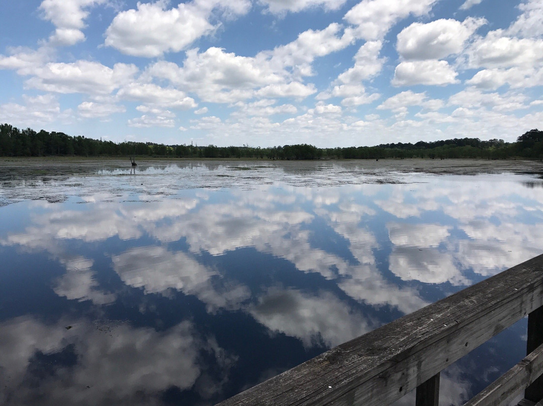 Martin Dies, Jr. State Park-Jasper必去景点