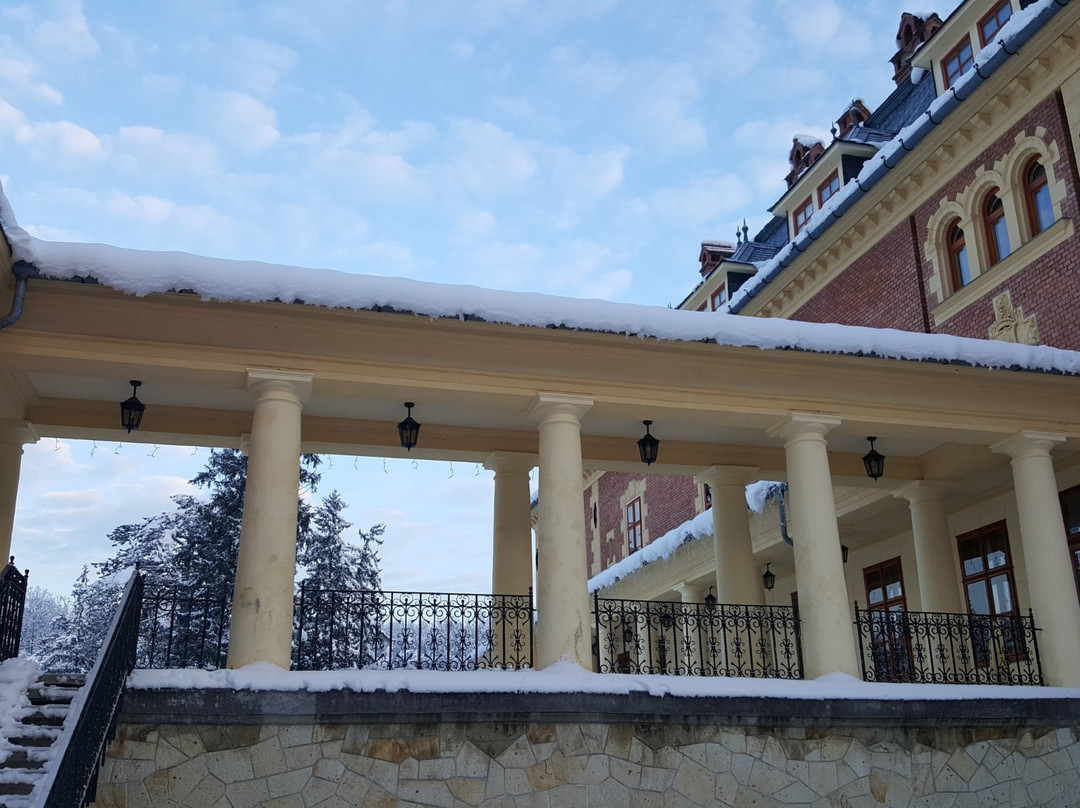 Kastélyhotel Sasvár Resort主图