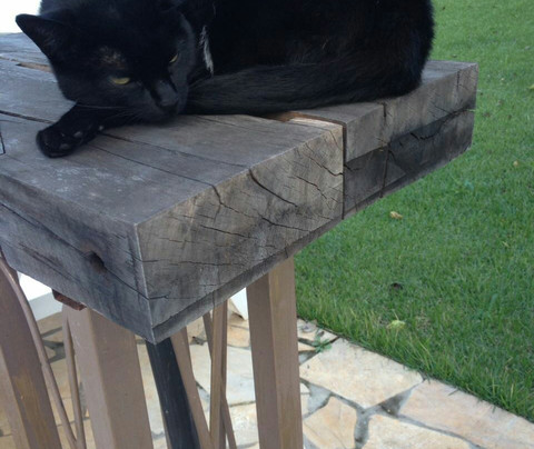 Canto da Montanha主图