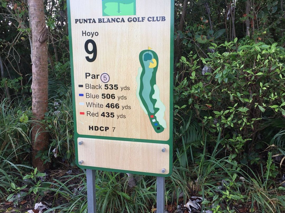 Punta Blanca Golf Course景点图片