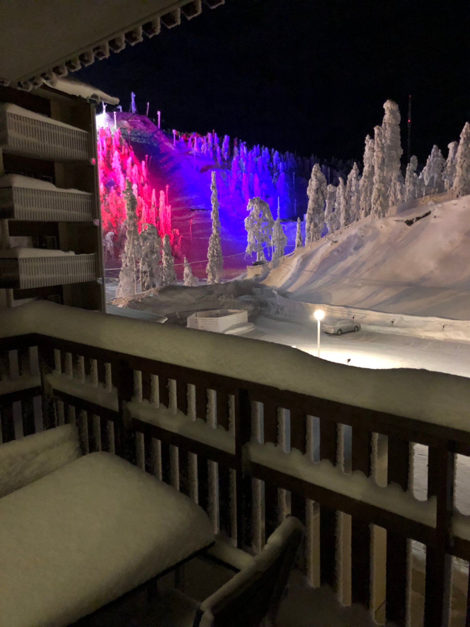 Ruka Ski Chalets-酒店景观