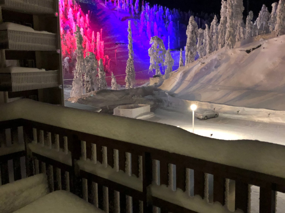 Ruka Ski Chalets主图