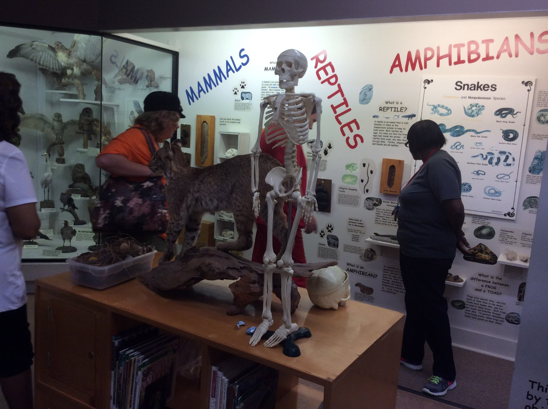 Museum of the Mississippi Delta-Greenwood必去景点