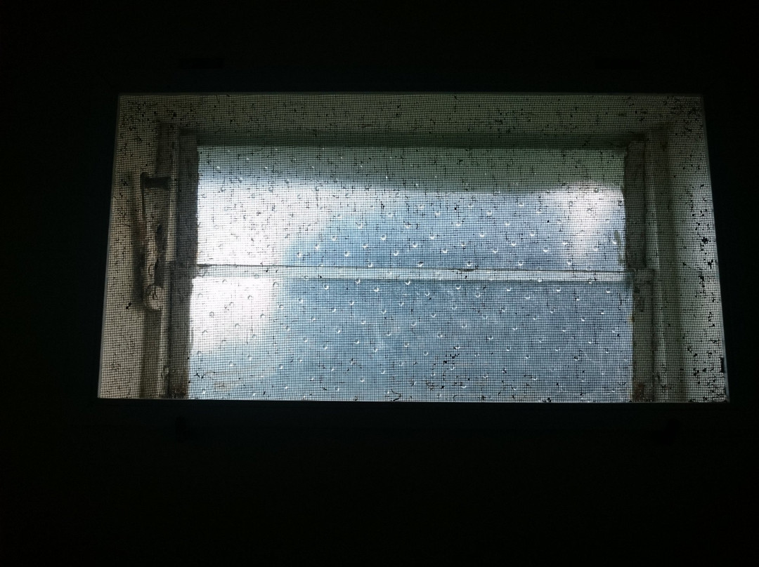 Waitomo Big Bird Bed & Breakfast主图