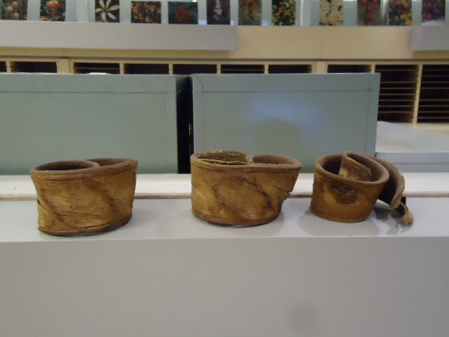 University Herbarium-伯克利必去景点