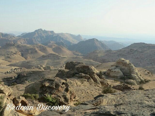 Bedouin Discovery Tours-佩特拉必去景点