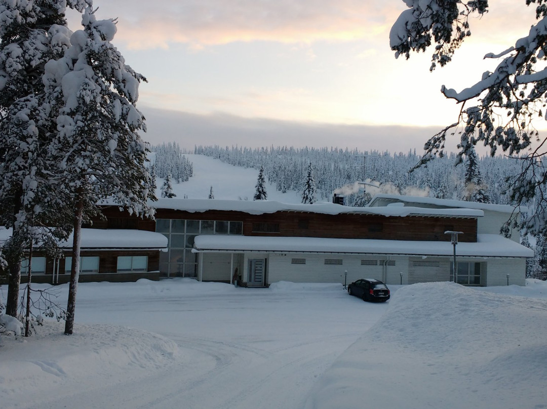 Iso-Syote酒店住宿-Wilderness Hotel Kirikeskus