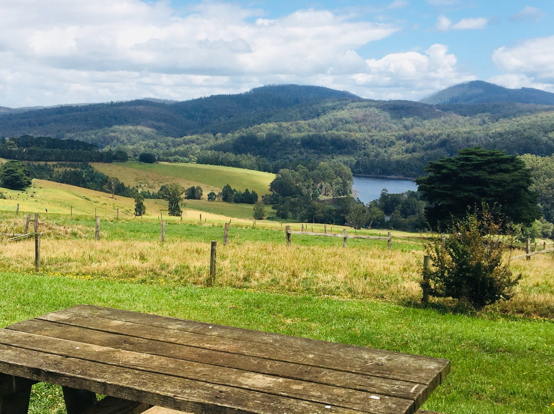 Little Charli's Lookout-Neerim South必去景点