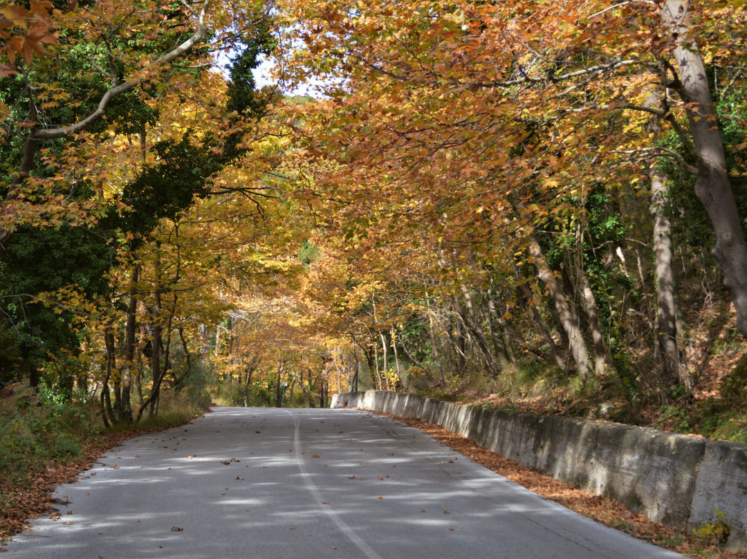Pelion Culture-沃洛斯必去景点
