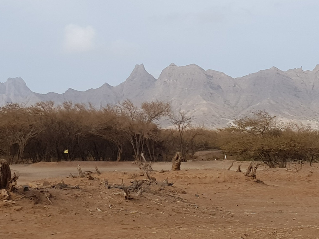 Positivos-明德卢必去景点