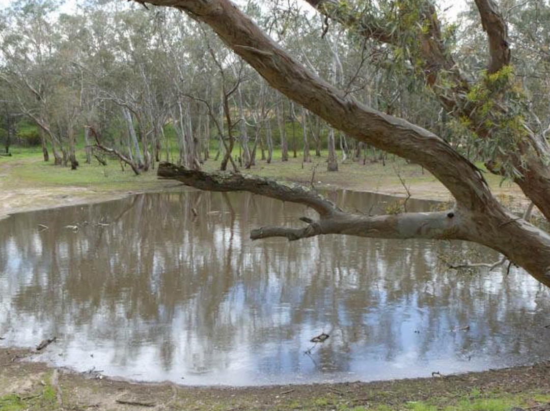 Inverleigh Flora Reserve景点图片