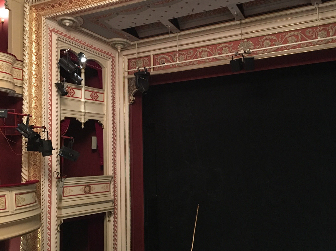 Gerhart-Hauptmann-Theater Gorlitz景点图片