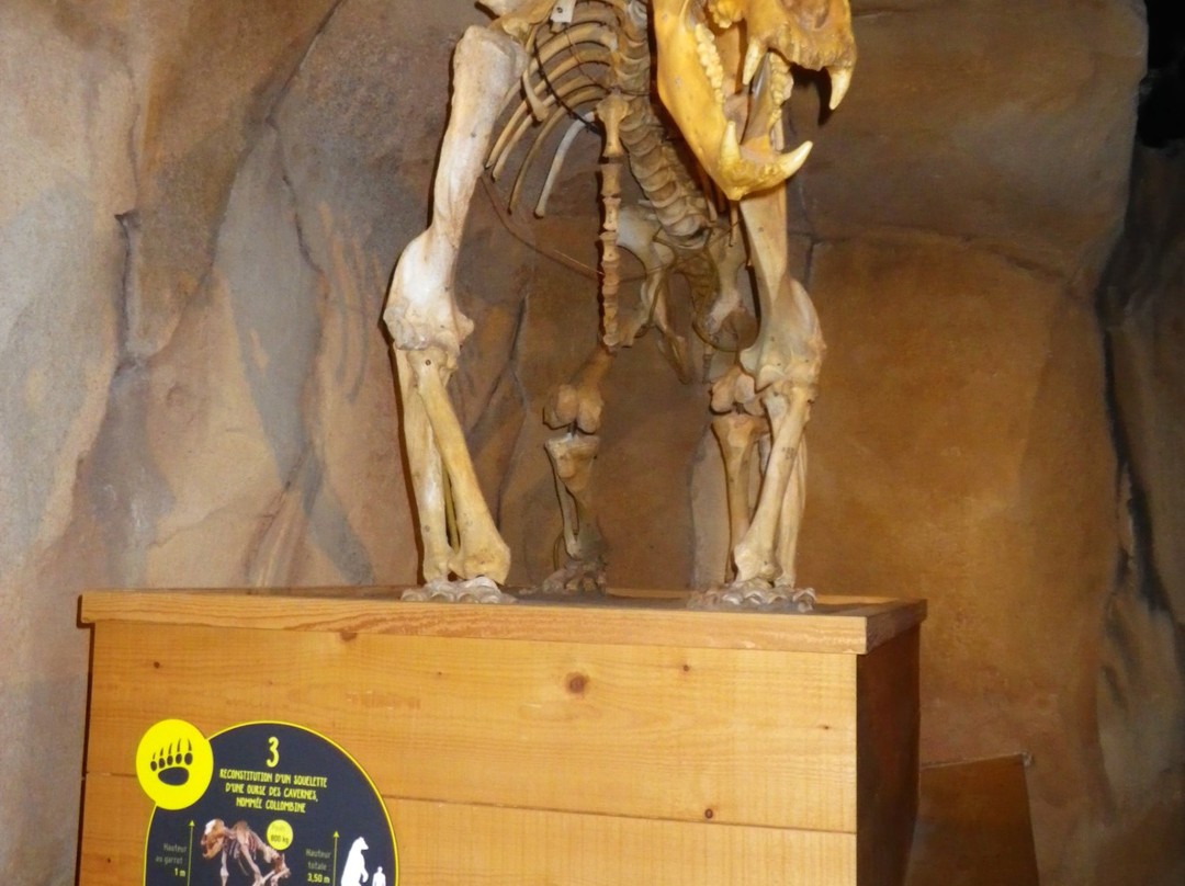 Musee De L'ours Des Cavernes景点图片