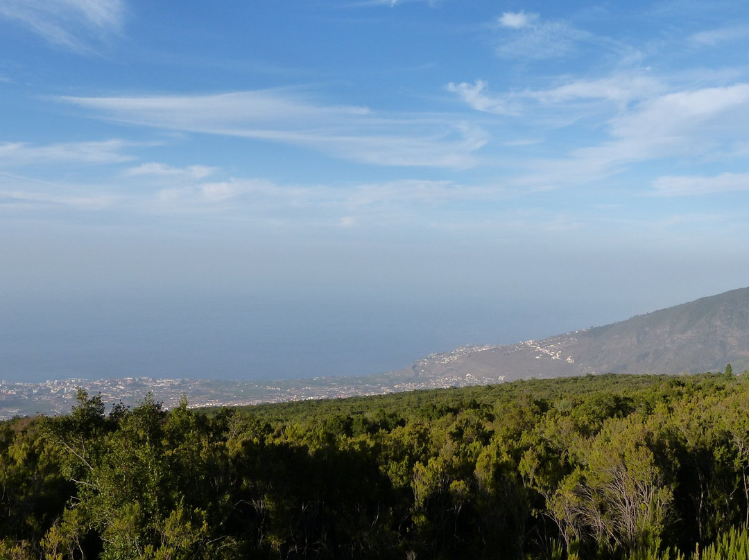 La Tarta del Teide-La Orotava必去景点