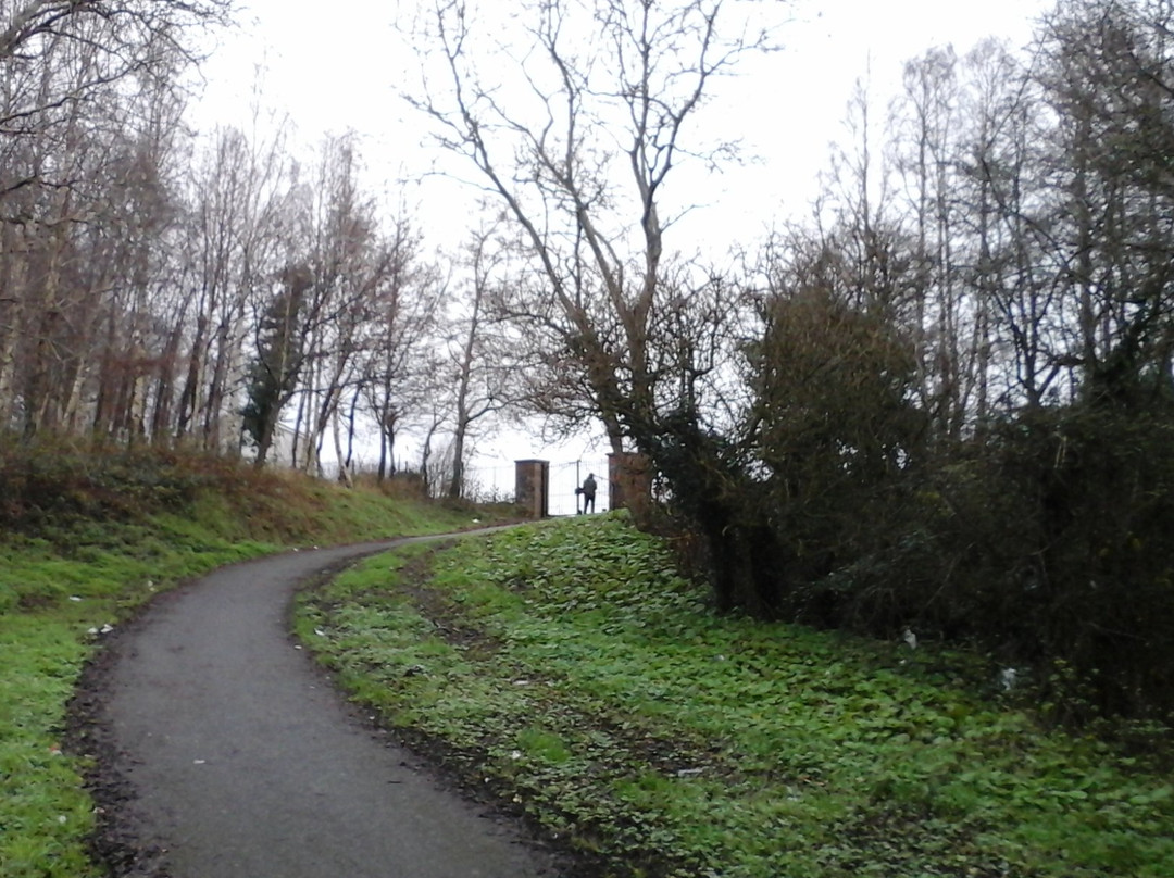 Tolka Valley Park景点图片