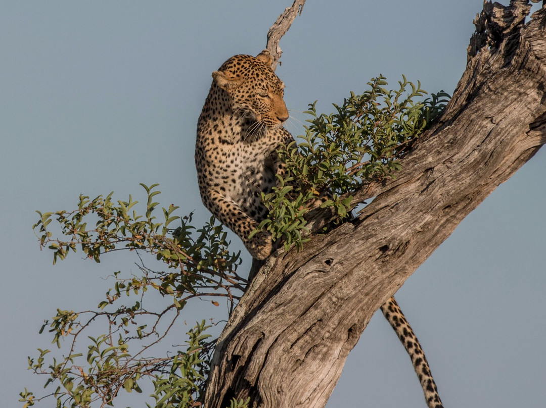 Afriguided Safaris-霍德斯普鲁特必去景点