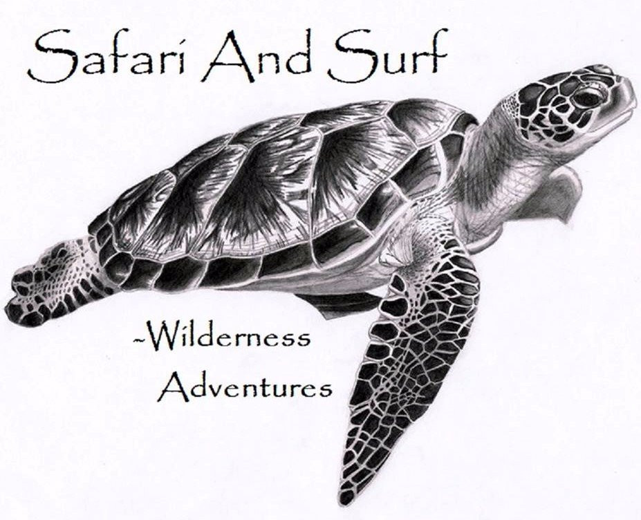 Safari and Surf景点图片