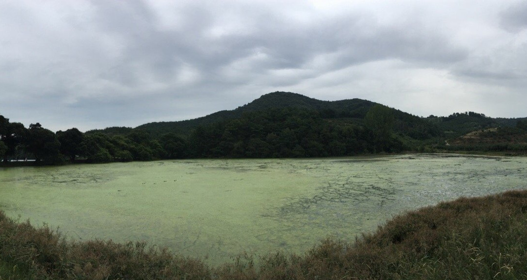 Bangokji Reservoir-庆山市必去景点