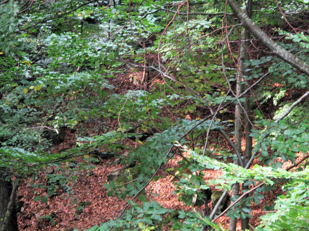 The Degeberga Trail-Degeberga必去景点