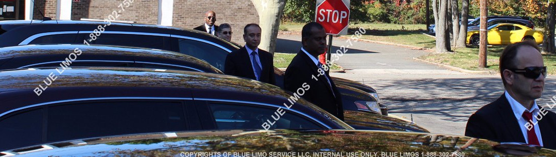 Blue Limo Service景点图片