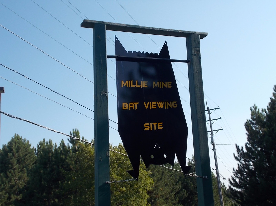 Millie Mine Bat Viewing景点图片