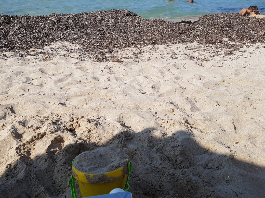 Lido San Vito