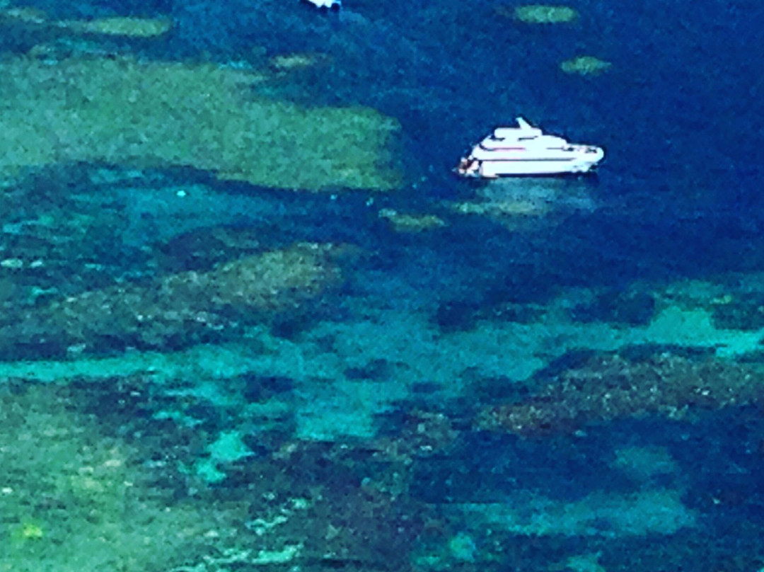 Tablelands Tours-凯恩斯必去景点