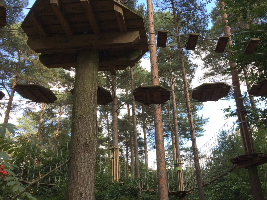 Go Ape Alice Holt景点图片