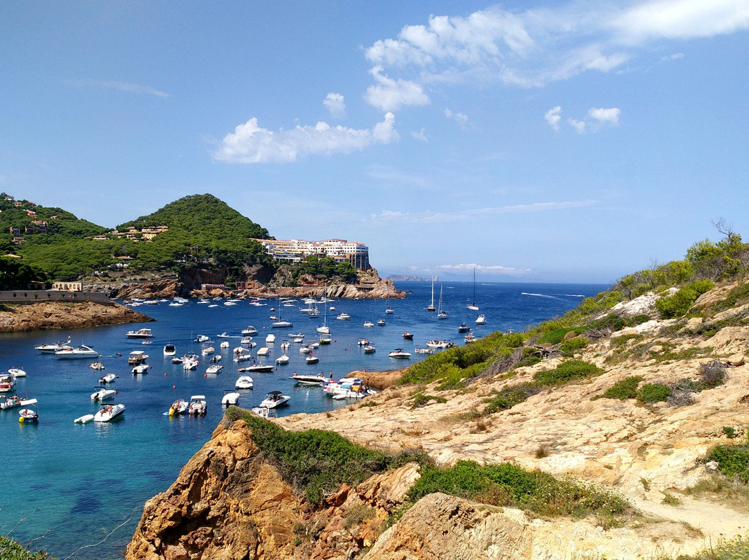 Cala de S'eixugador景点图片