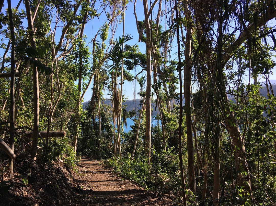 Molle Islands National Park-长岛必去景点