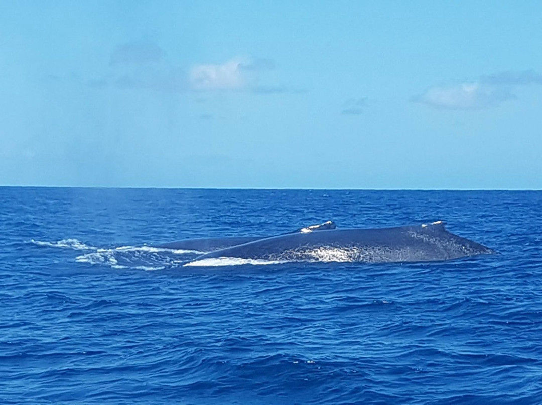 Moz Adventures, Lda-Nacala必去景点