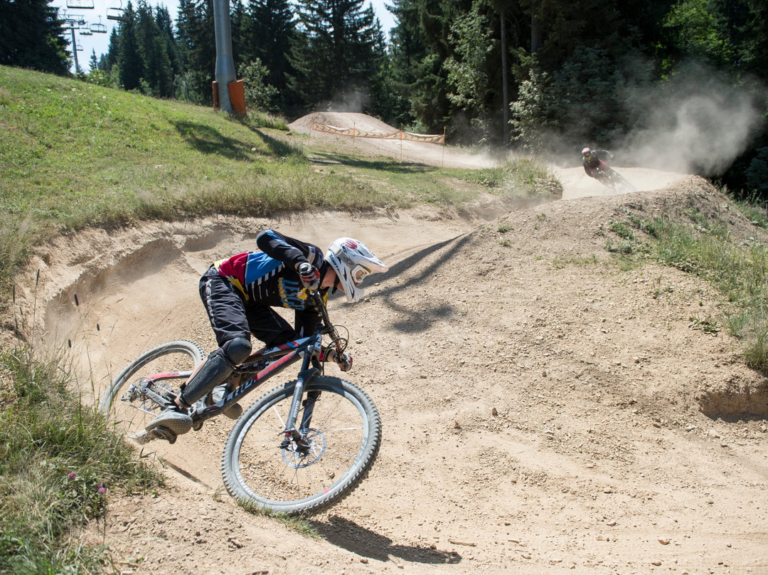 Bikepark Les Gets景点图片