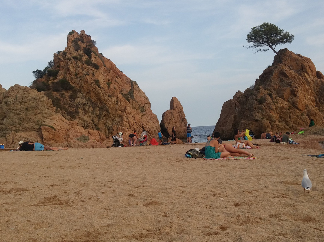 Platja De La Mar Menuda-多萨德马尔必去景点