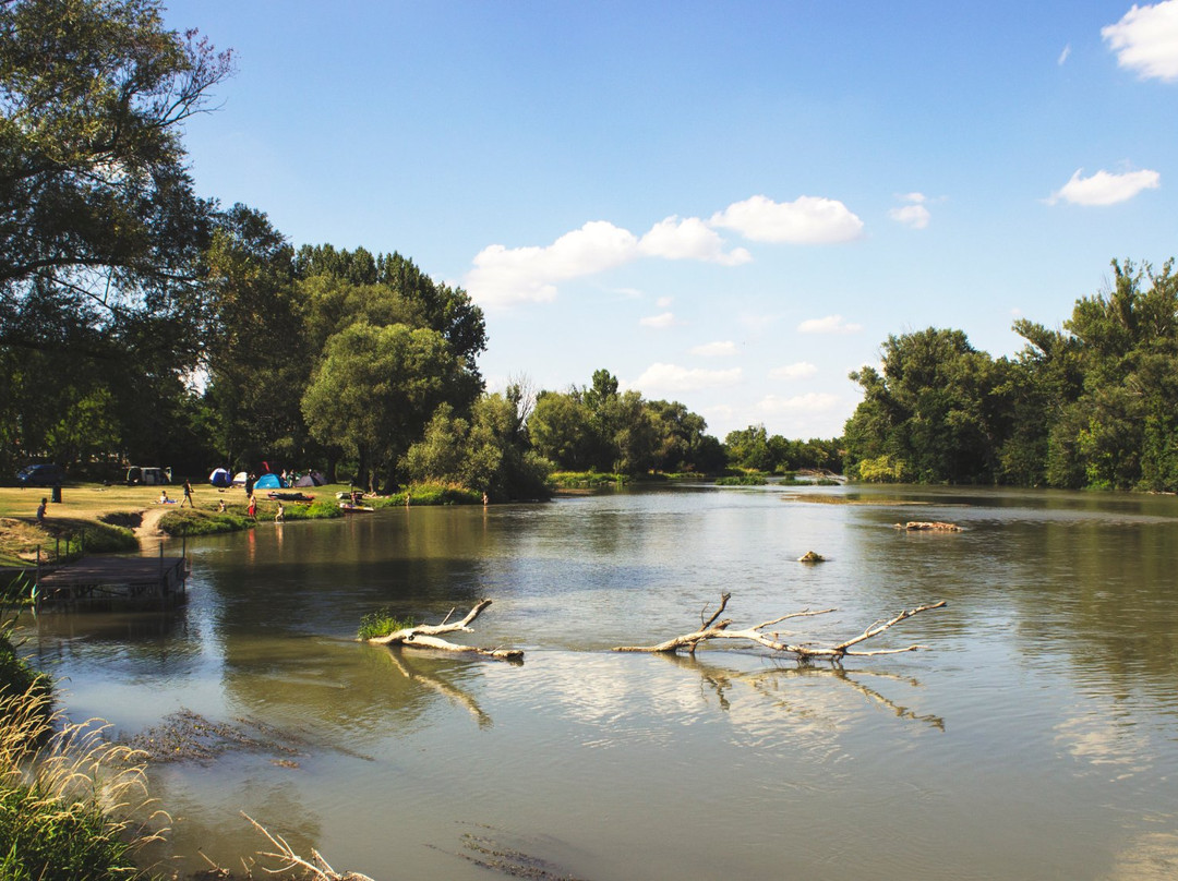 Jelka旅游攻略图片