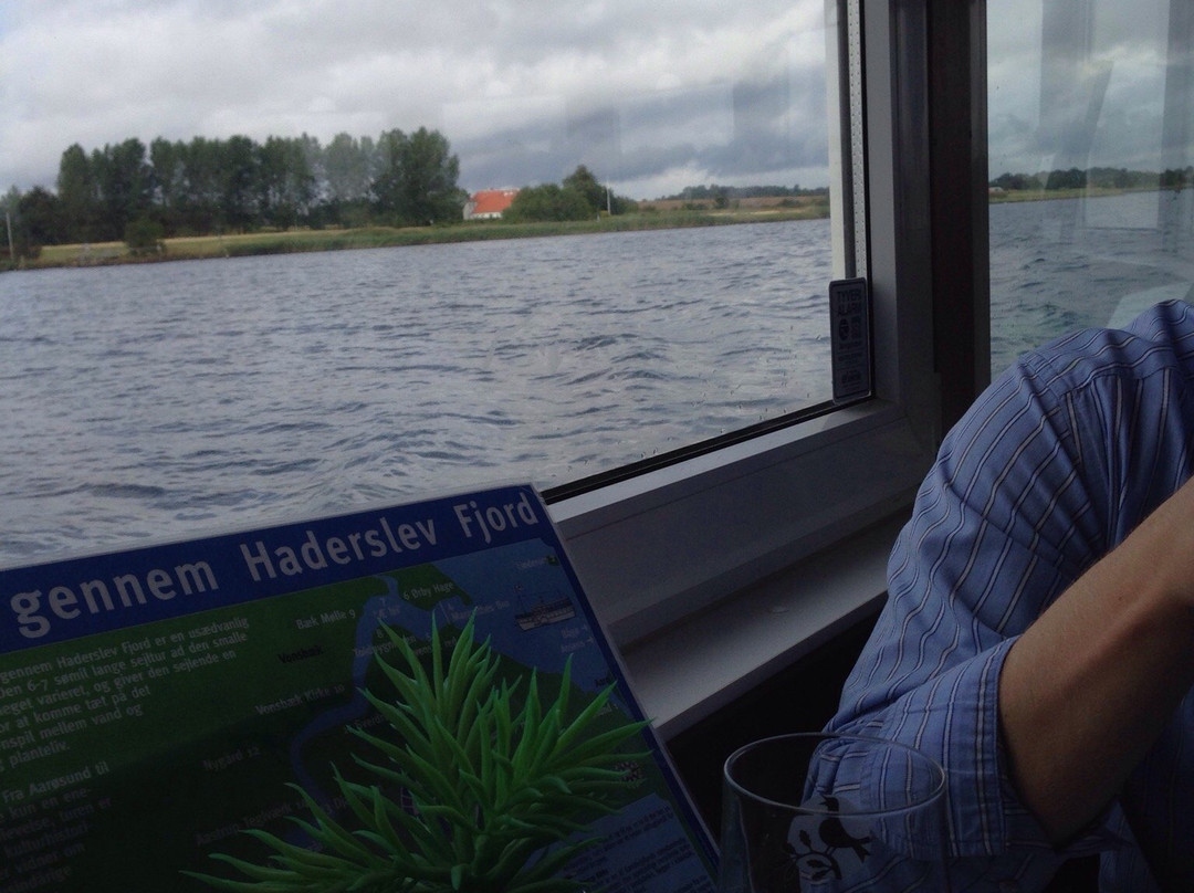 fjordbaaden Helene景点图片