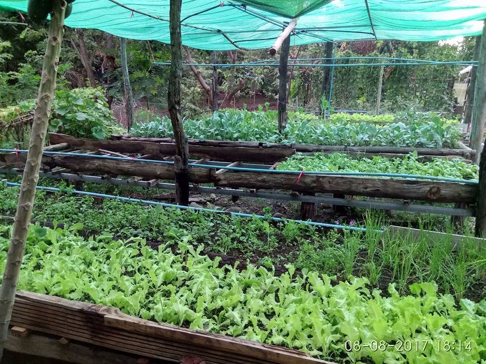 Thap Sai酒店住宿-Memoria Palace & Resort