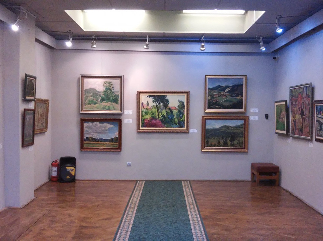 County Museum of Art «Baia Mare Artistic Centre»景点图片