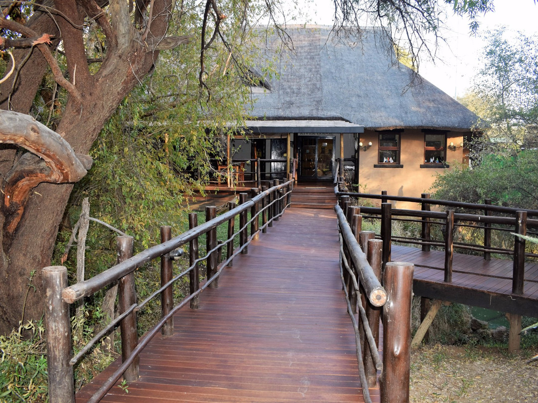 Madikwe River Lodge by Dream Resorts