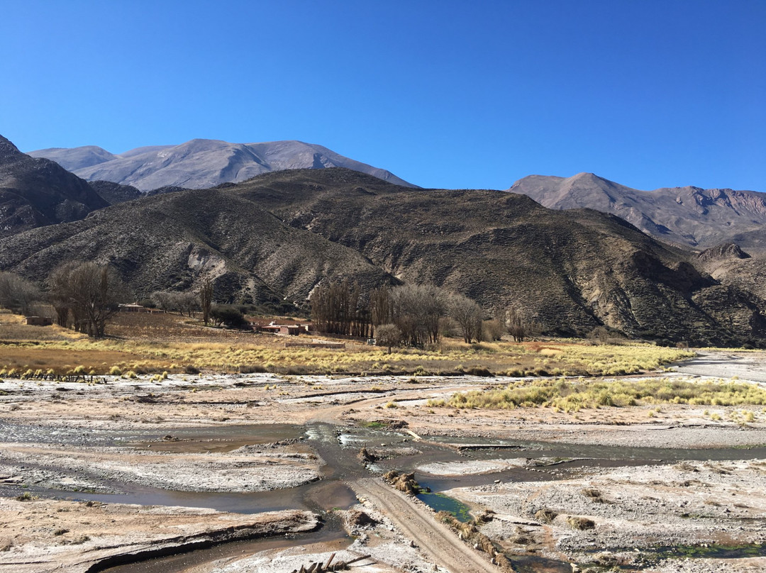 Vinas de Uquia